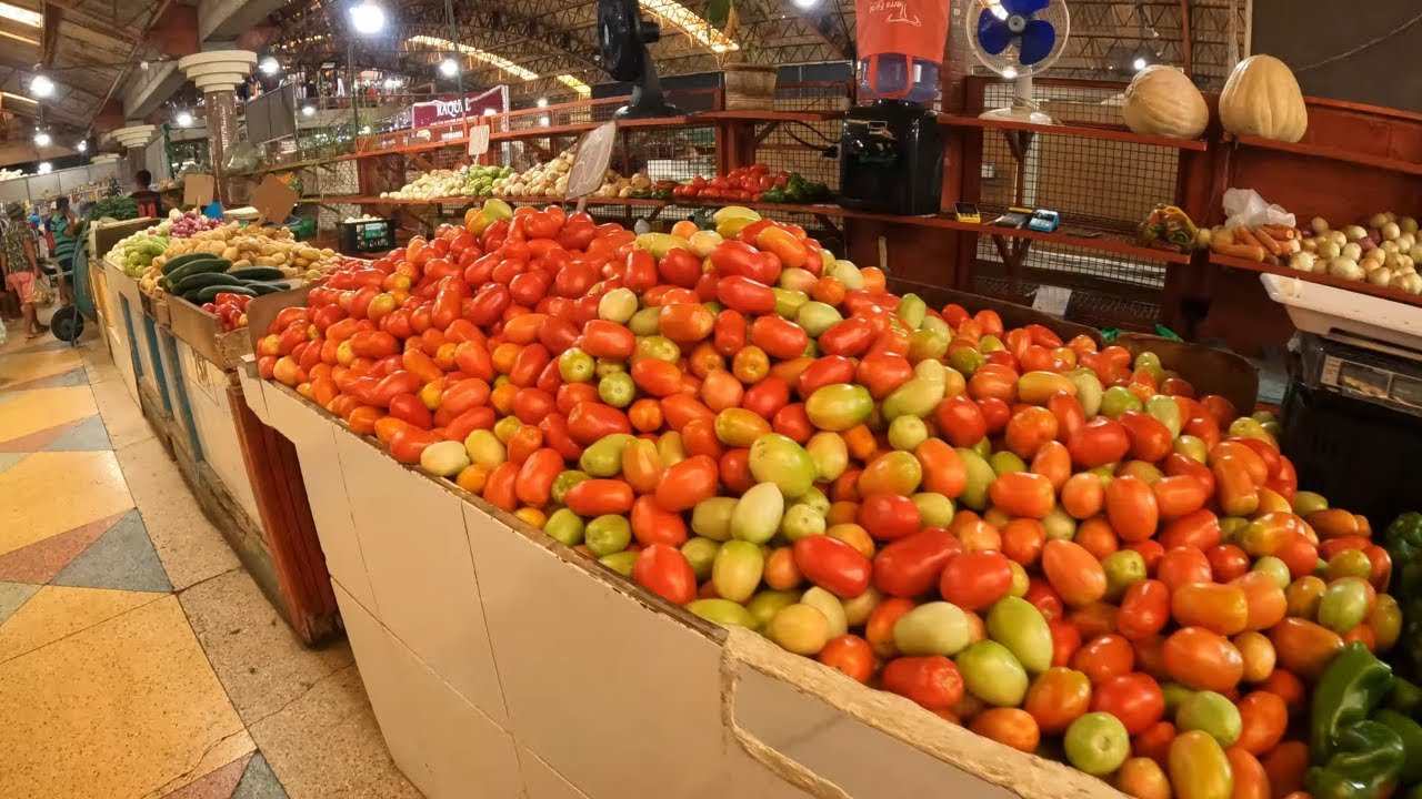 EXPLORANDO A FEIRA DE ARACAJU: Dicas de Viagem Em Sergipe