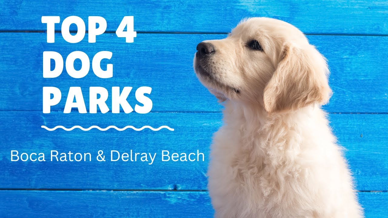 The Best Dog Parks in Boca Raton and Delray Beach