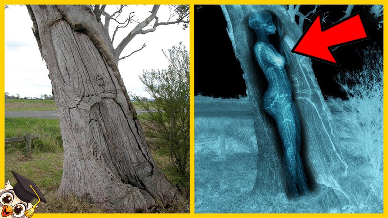 10 Scoperte Archeologiche Incredibili