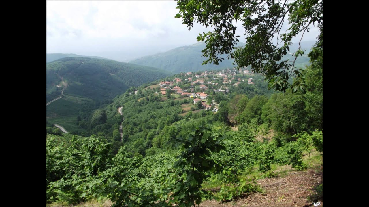 karadeniz düverdüzü köyü düzce
