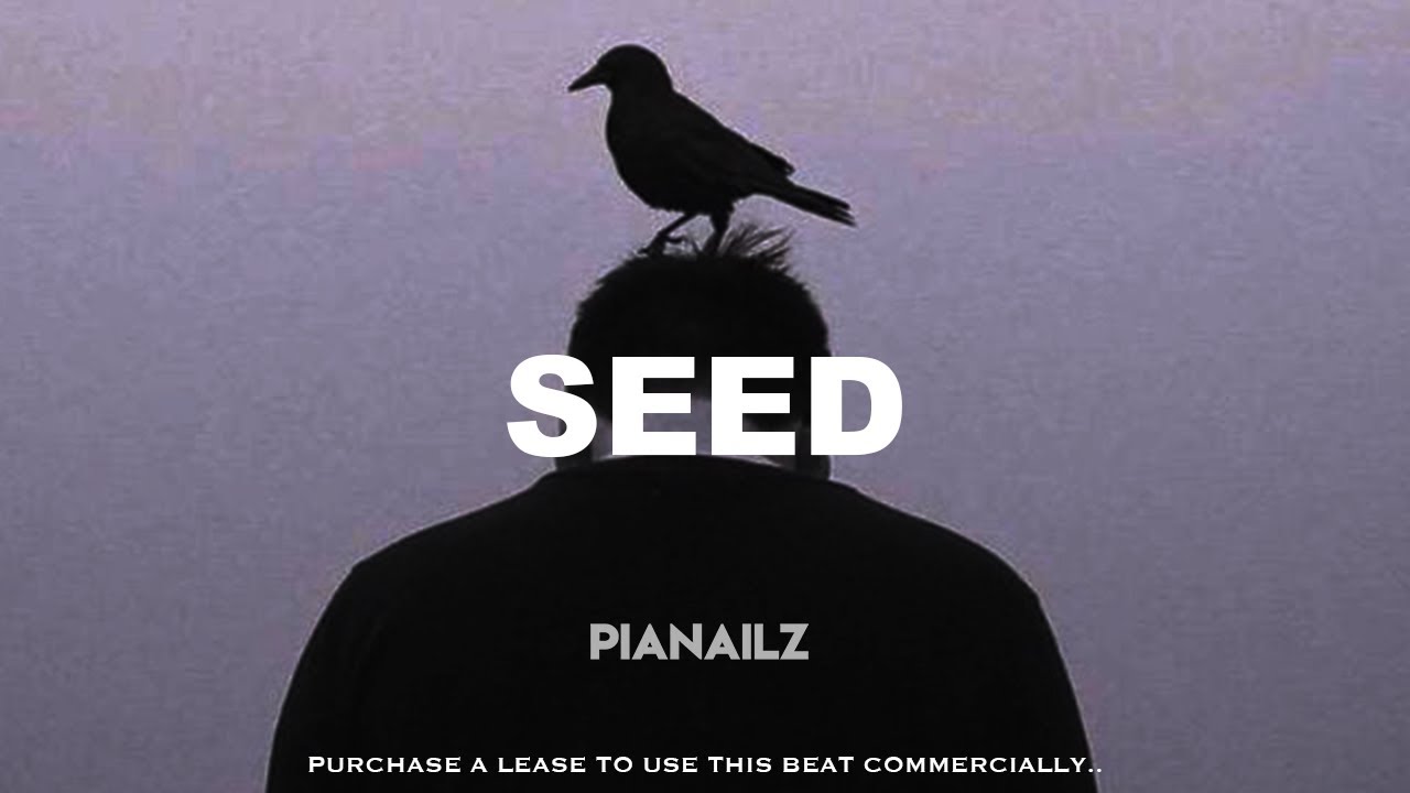 Burna Boy x Llona x Tems x Omah lay Type Beat 2025 ''SEED'' | Afrobeat Instrumental