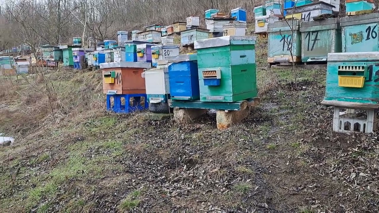 Причина загибелі сімей...