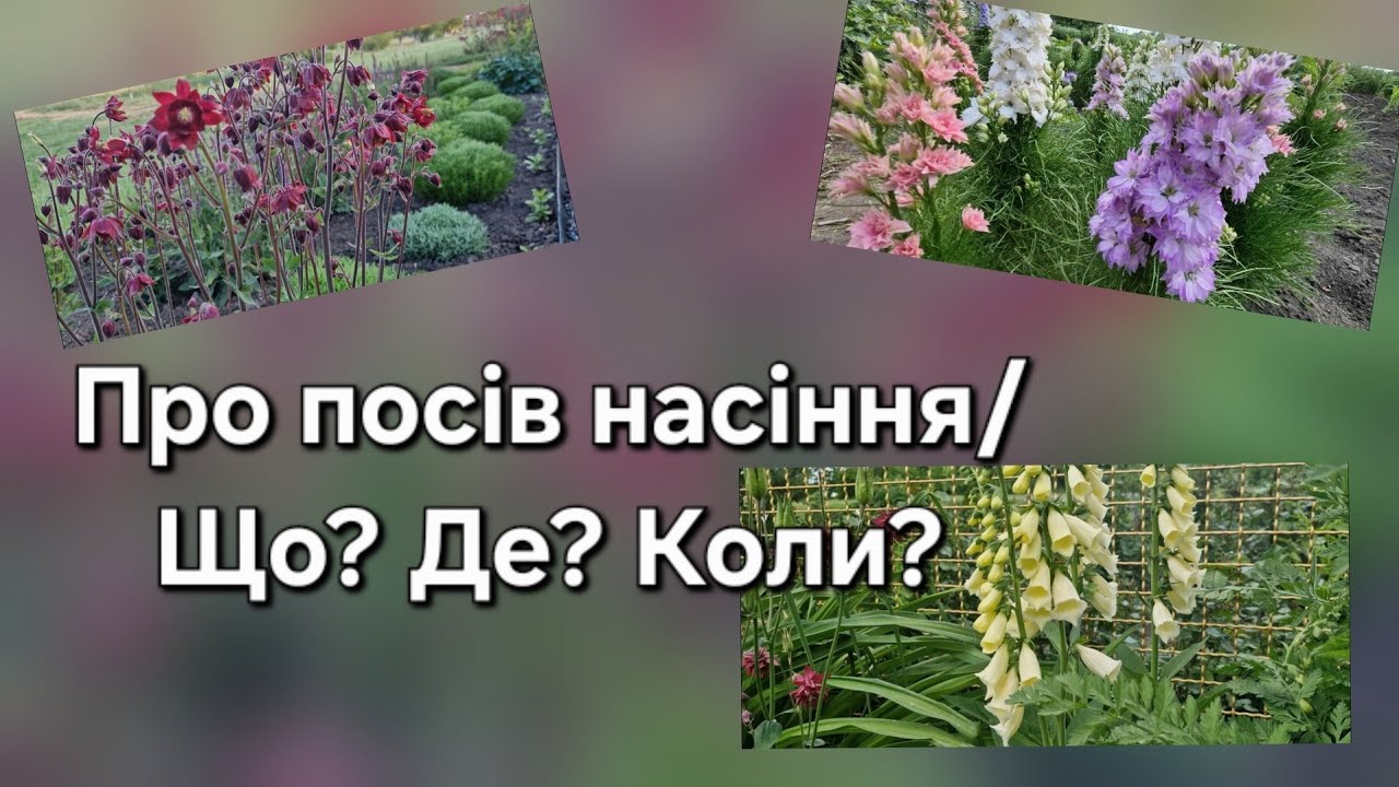 Про посів насіння/ Що?Де? Коли?