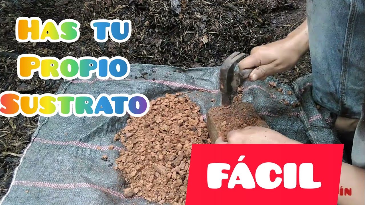 Materia orgánica +ladrillo triturado = buen Sustrato 