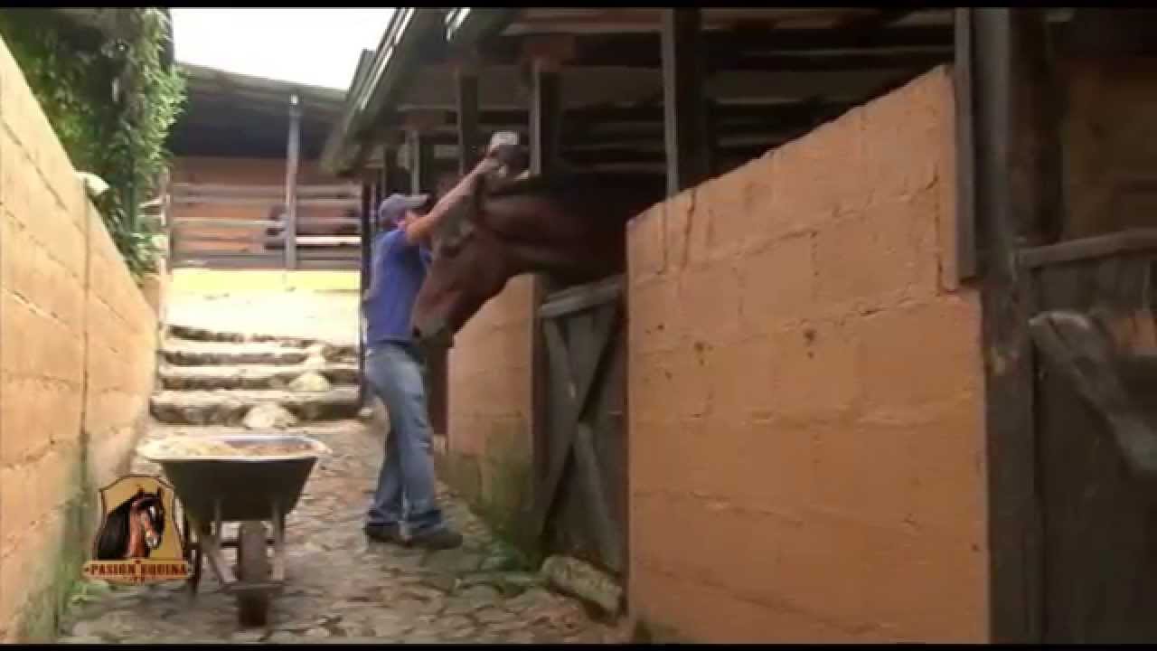Como se Administra un Establo para Caballos - Manejo de Pesebreras- TvAgro por Juan Gonzalo Angel