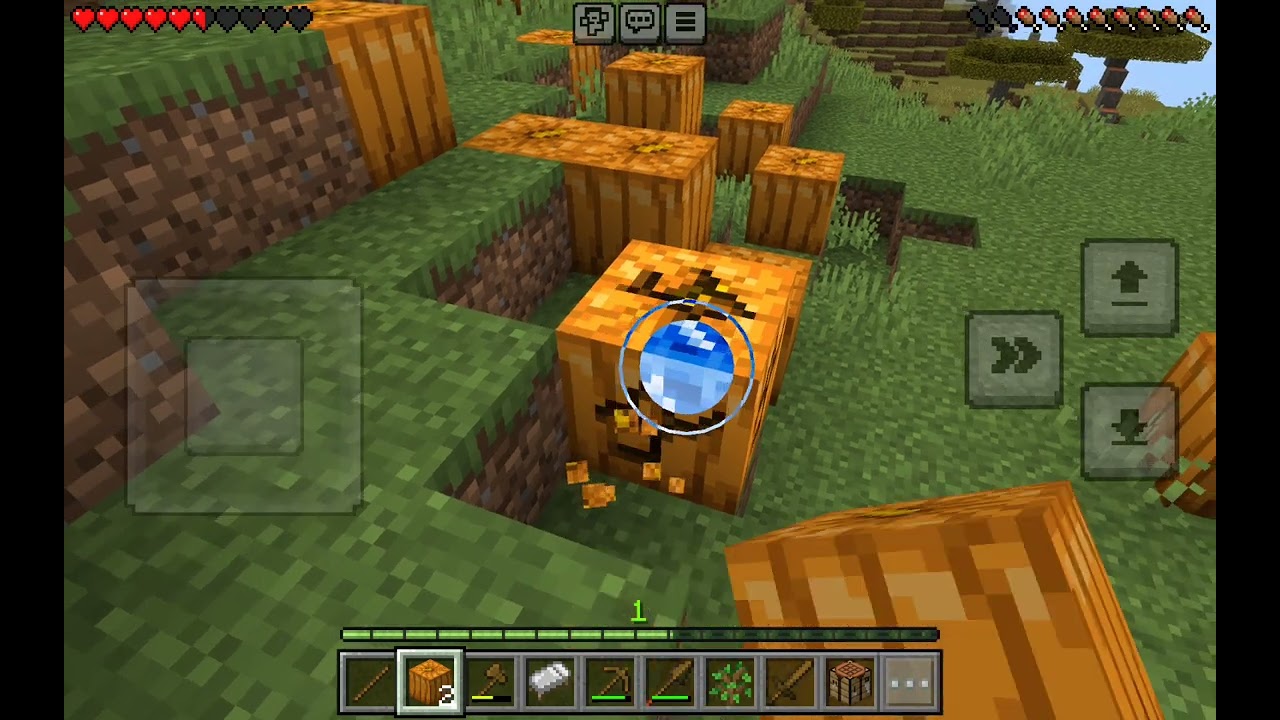 Survival Minecraft 1