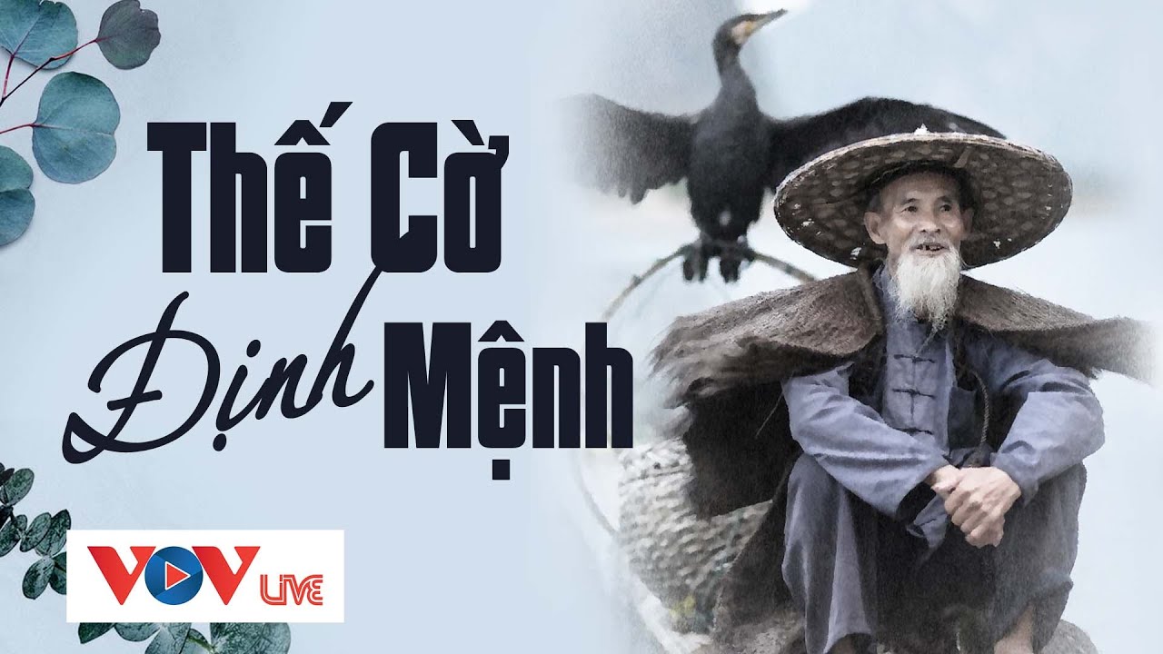 15 Phút Nghe Và Ngủ Thật Sâu Kể Chuyện Cảnh Giác Đêm Khuya VOV Hôm Nay - Thế Cờ Định Mệnh