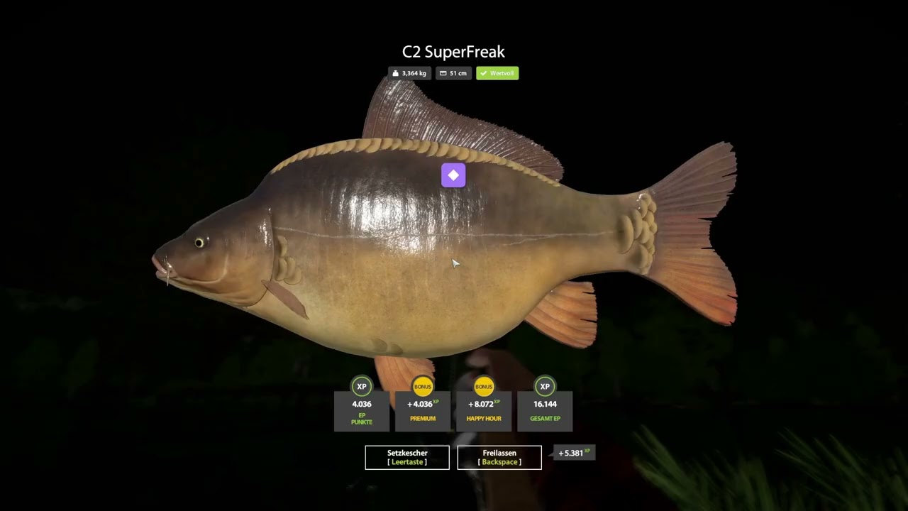 Russian Fishing 4  Kupfersee C2 Spot