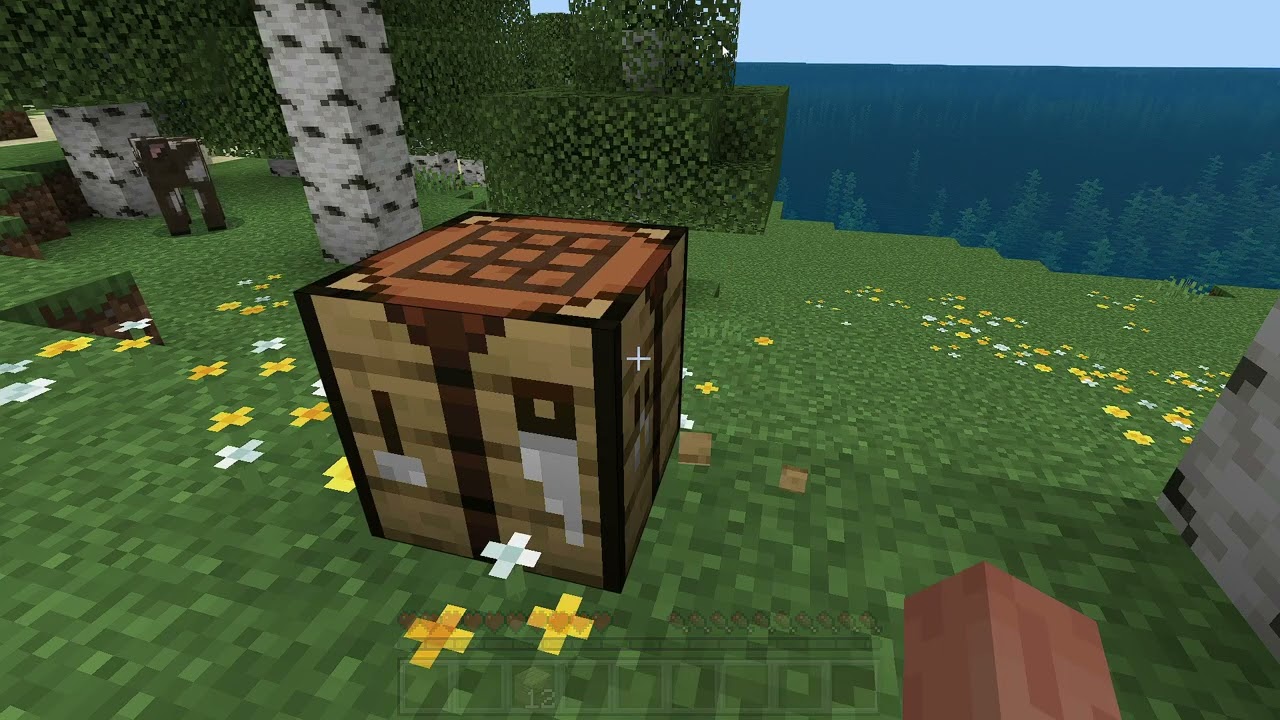 MİNECRAFT BÖLÜM 1