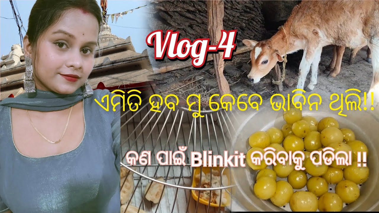 Emiti haba mu kebe bhabinathili|| kn pain blinkit hatat kali ||fancy flurious puja vlog|| #dailyvlog