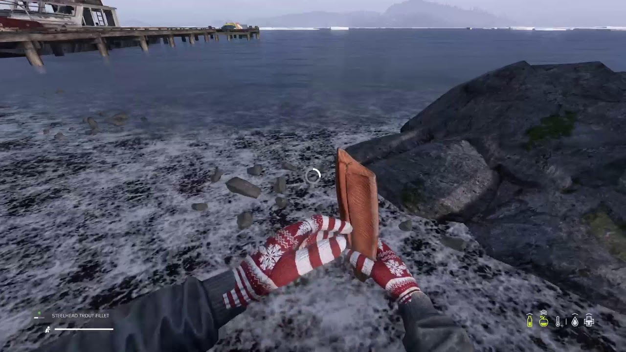 DayZ