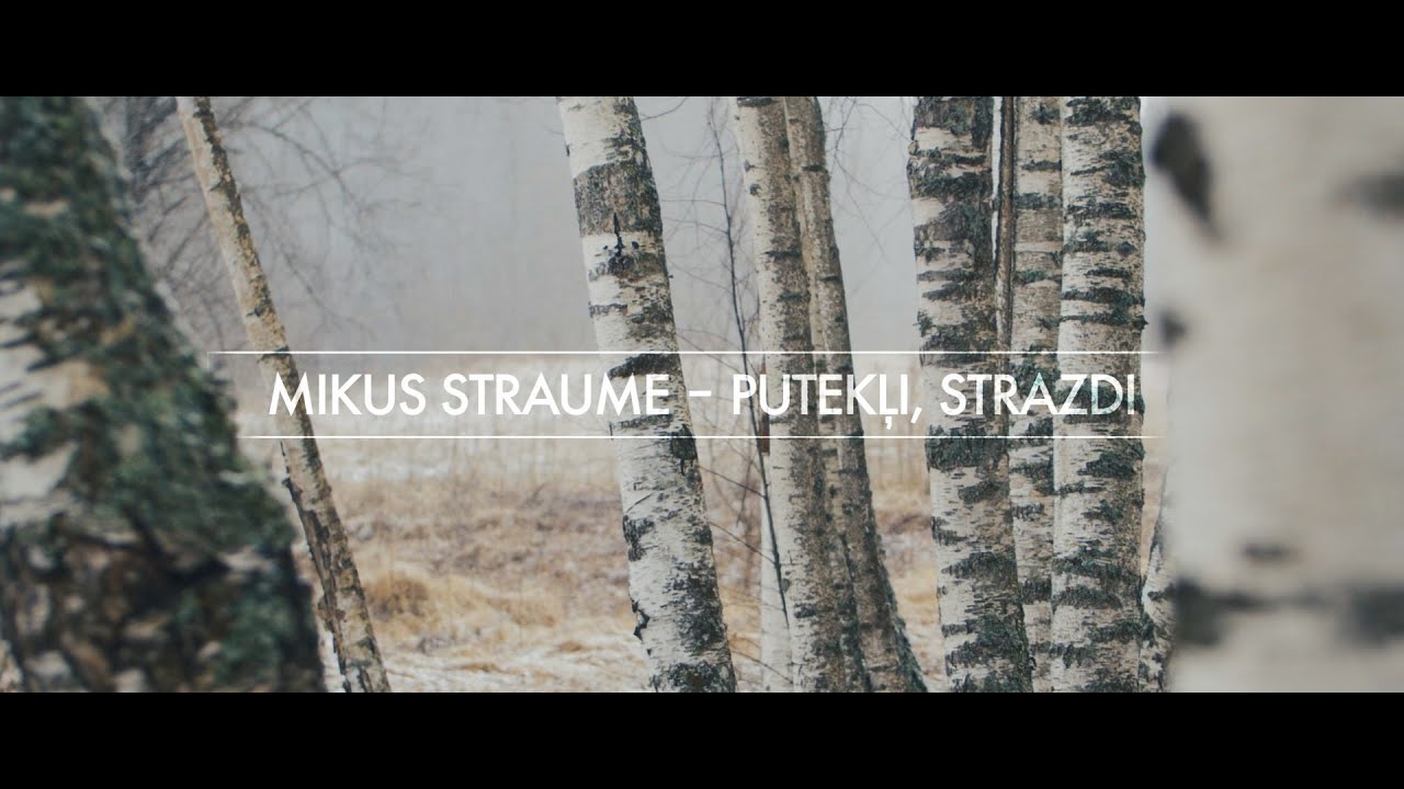 Mikus Straume - Putekļi, Strazdi