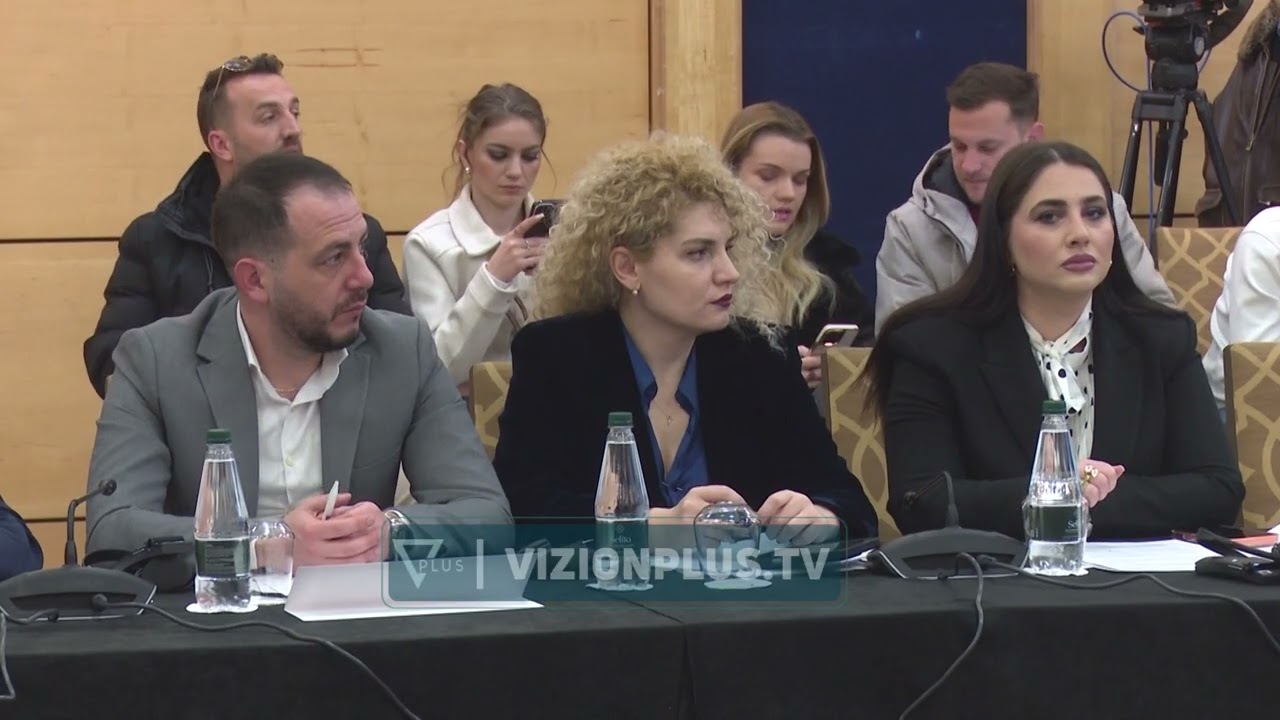 Financimi i partive, kusht për BE, Gonzato: Reforma zgjedhore të garantojë barazi për të gjithë