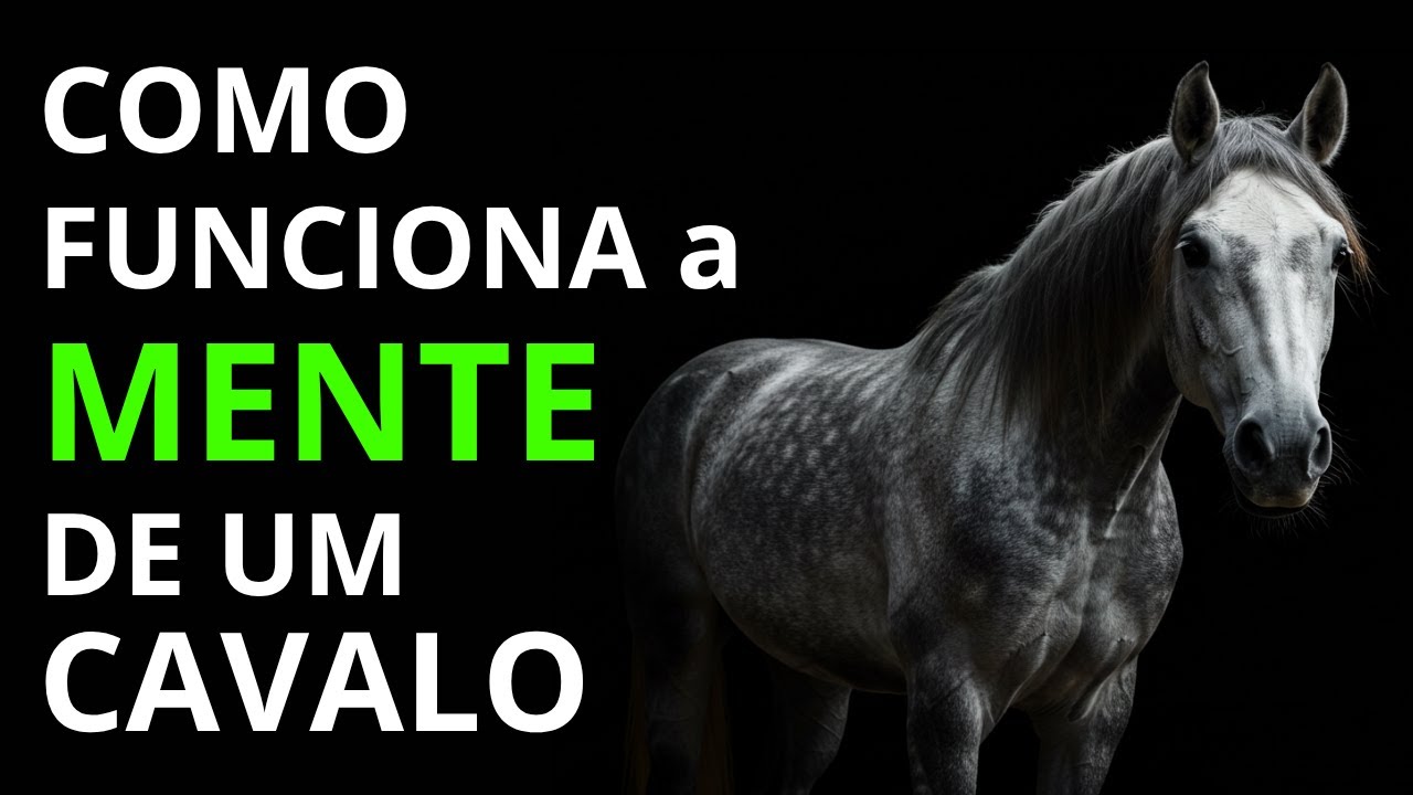 Como o Cavalo Pensa? Você Nunca Mais Vai Olhar um Cavalo do Mesmo Jeito Depois Disso…