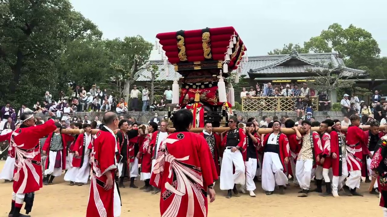 2025.10.12【 白羽神社 牟礼 秋祭り 本祭り 】川西太鼓台