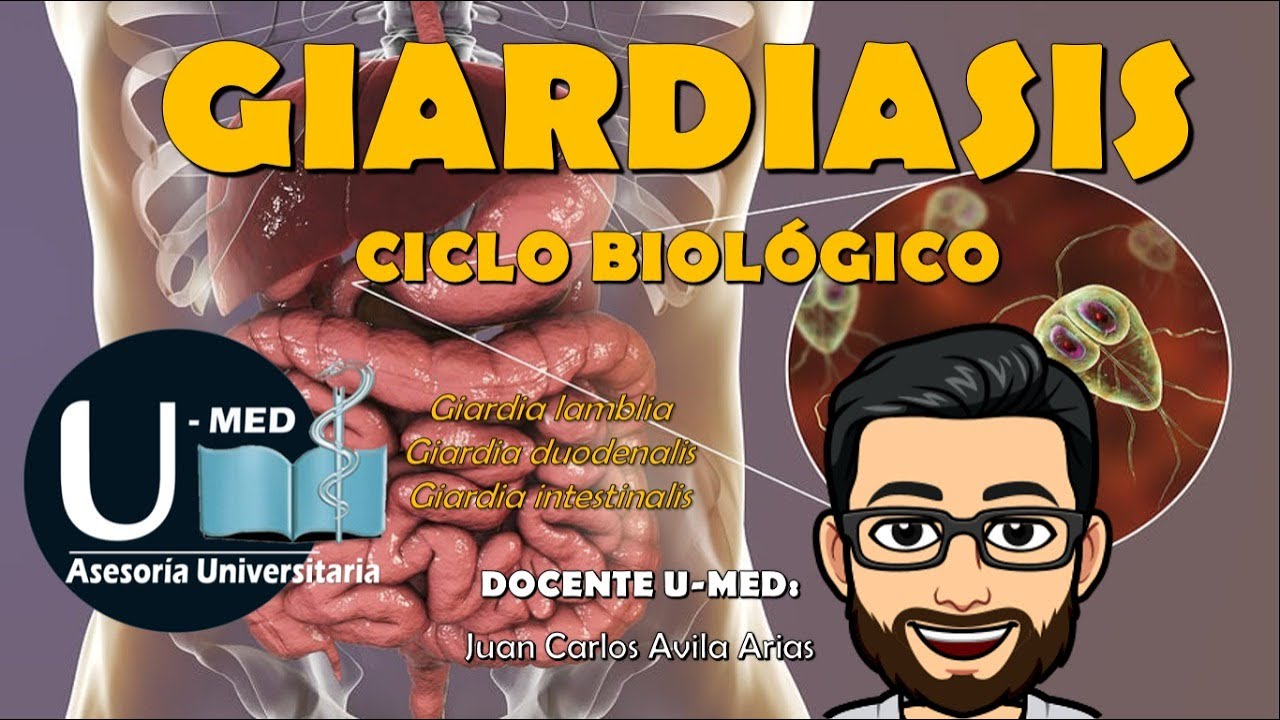 ✔🤓CICLO BIOLÓGICO DE LA GIARDIASIS 👈