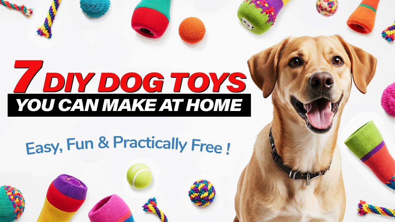 7 DIY DOG TOYS YOU CAN MAKE AT HOME ❤️🐶 Easy, Fun & Practically Free !