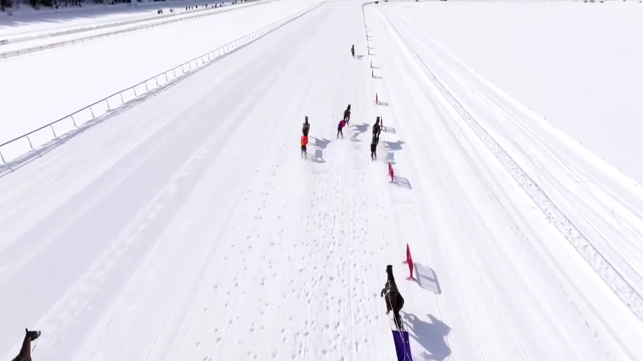 White Turf 2026 WE3  R3 Grand Prix UBS