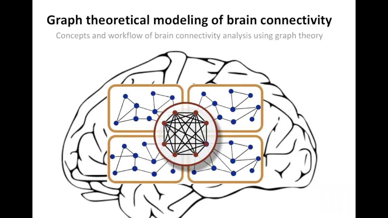 Introduction to Brain Network Analysis - Part 2/2.