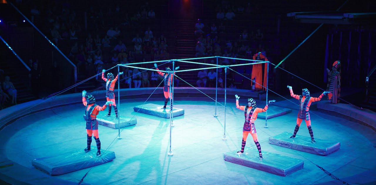 Гимнасты на турниках Леонтьевы Gymnast  on high bar Leontievs.