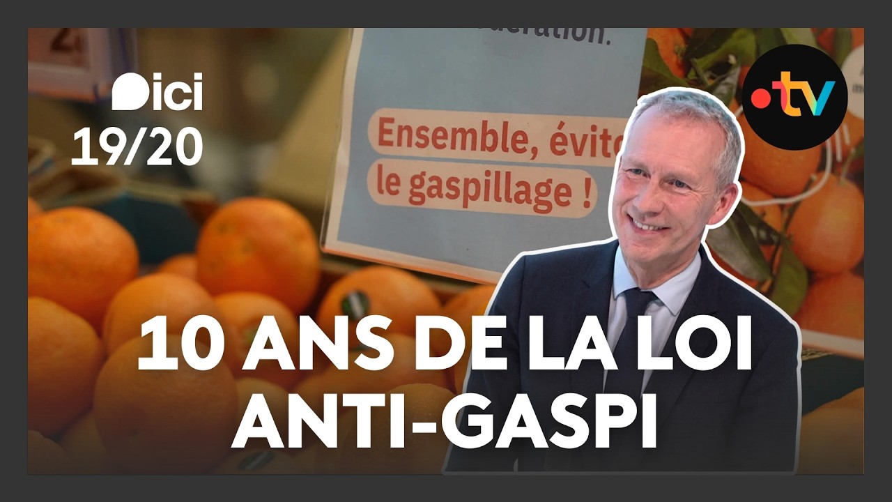 Loi Garot : 10 ans après, quel bilan pour la lutte contre le gaspillage alimentaire ?