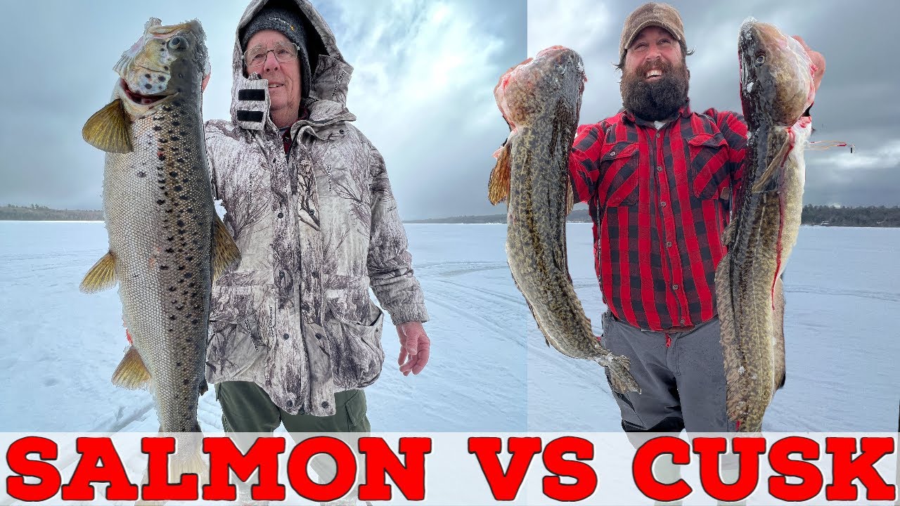 Salmon Vs. Cusk (Burbot) on Chesuncook Lake: 81 year olds PB Salmon