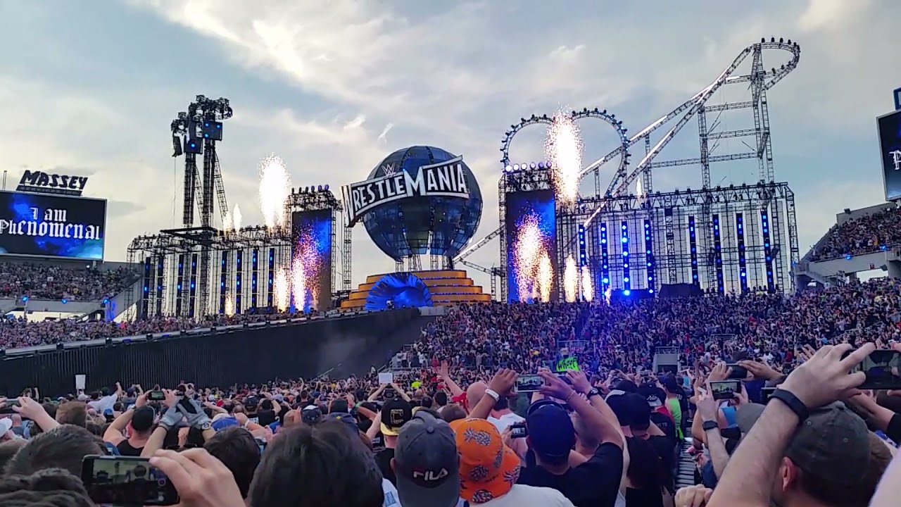The Money WM33