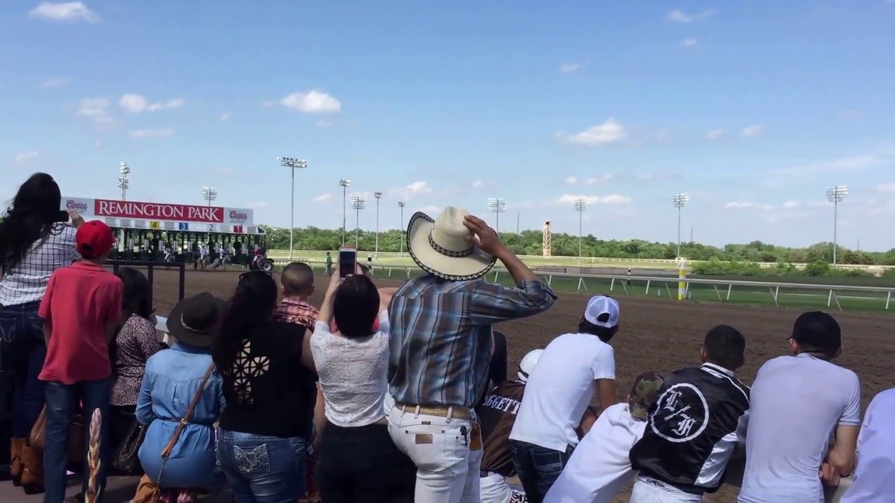 Zebra Race at Remington Park in OKC