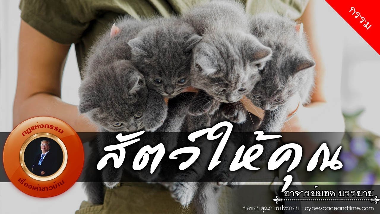 อาจารย์ยอด : สัตว์ให้คุณ [กรรม]