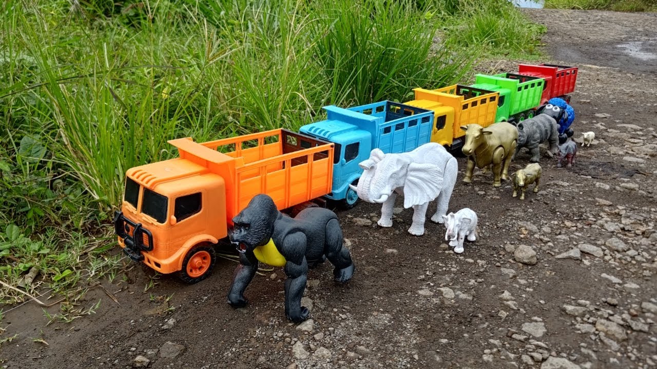 Wadidaw ‼️ Angkut Sapi Kurban Gorila Gajah Kambing Badak dengan Truk Oleng
