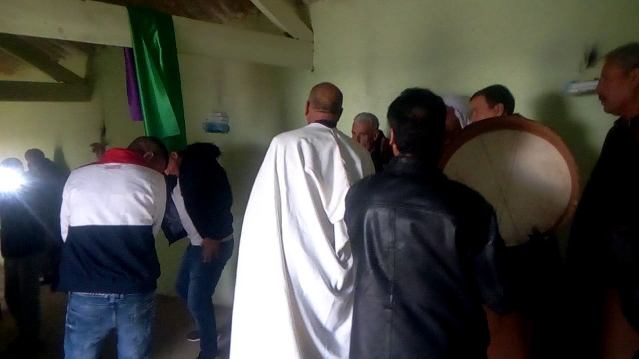 زردة بوعريف