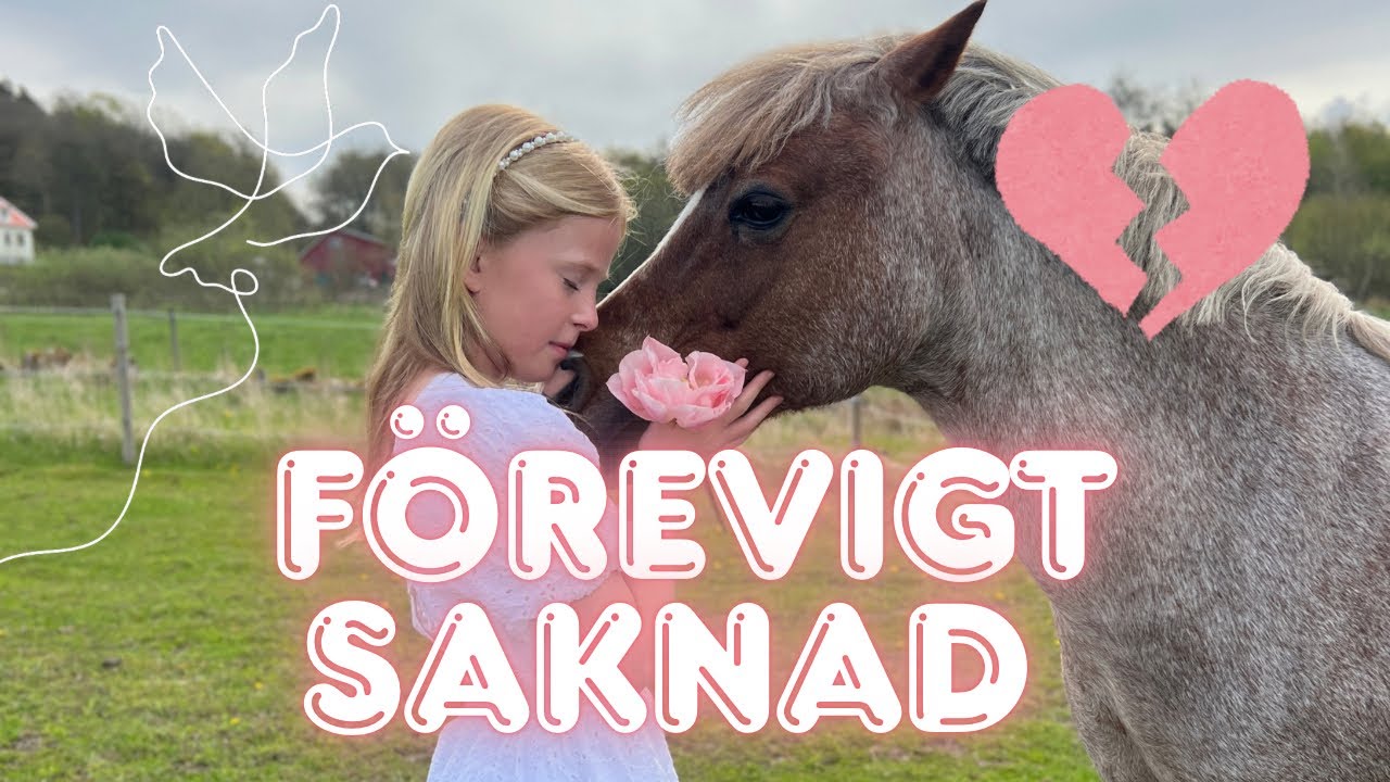 Vi har förlorat älskade Uffa :(