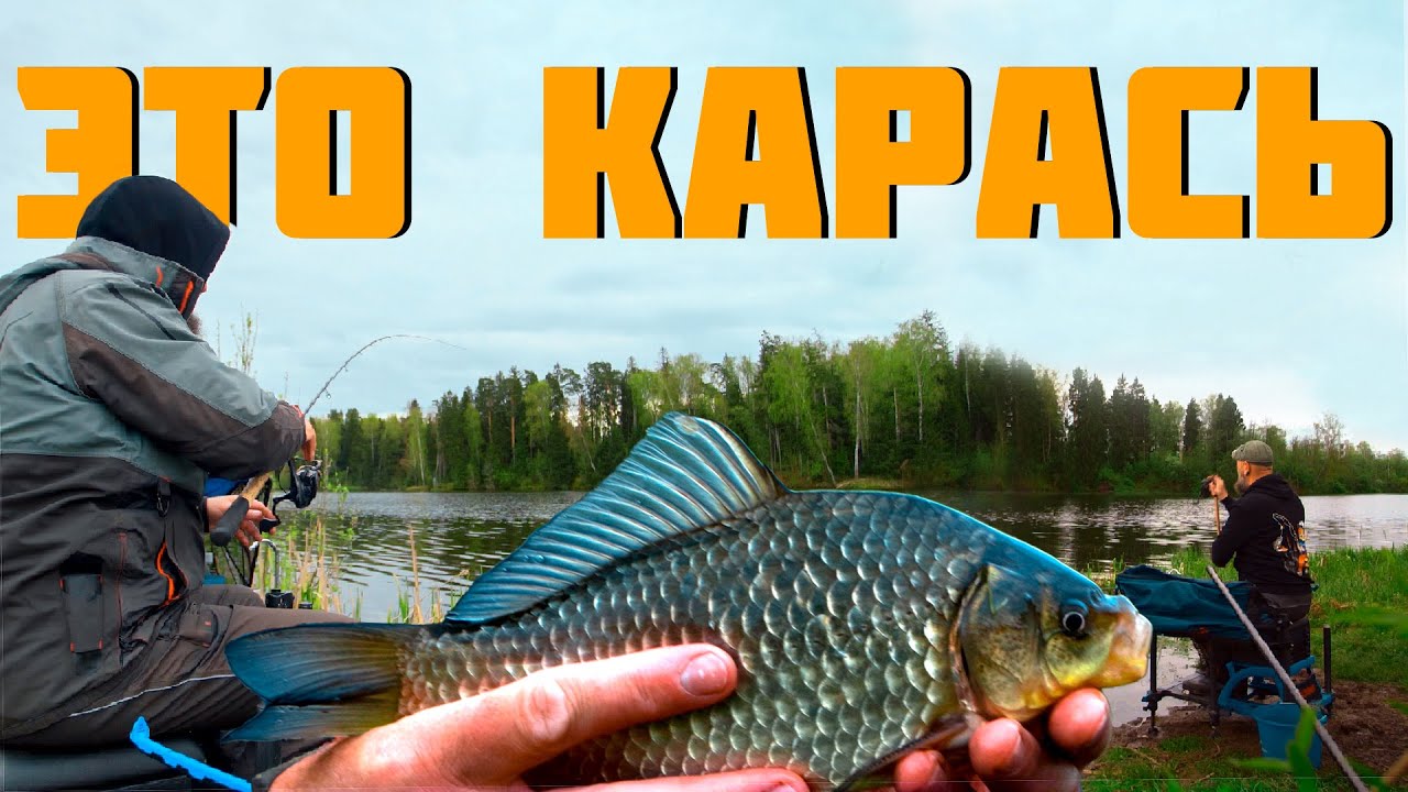 МОНТАЖ НА КАРАСЯ № 1. ДЕЛАЙ ТАК, ЕСЛИ ЛОВИШЬ НА ФИДЕР!