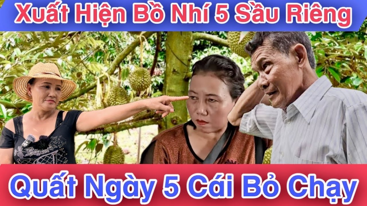 Bất Ngờ.! Xuất Hiện Bồ Nhí Ông 5 Sầu Riêng.! 5 Cái Một Ngày Nắng Mưa Cũng Thế.! Thy Phải làm Sao.!?
