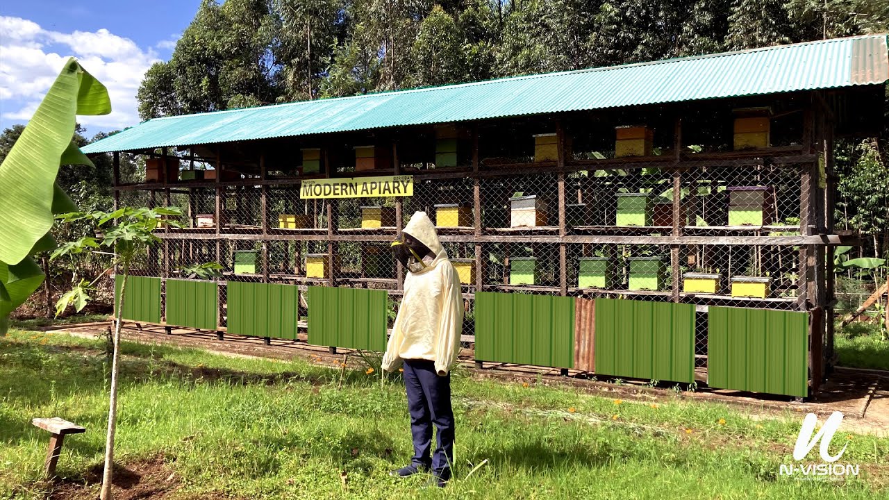 Ep. 5 Bees & Beyond: Revolutionizing Modern Pollination