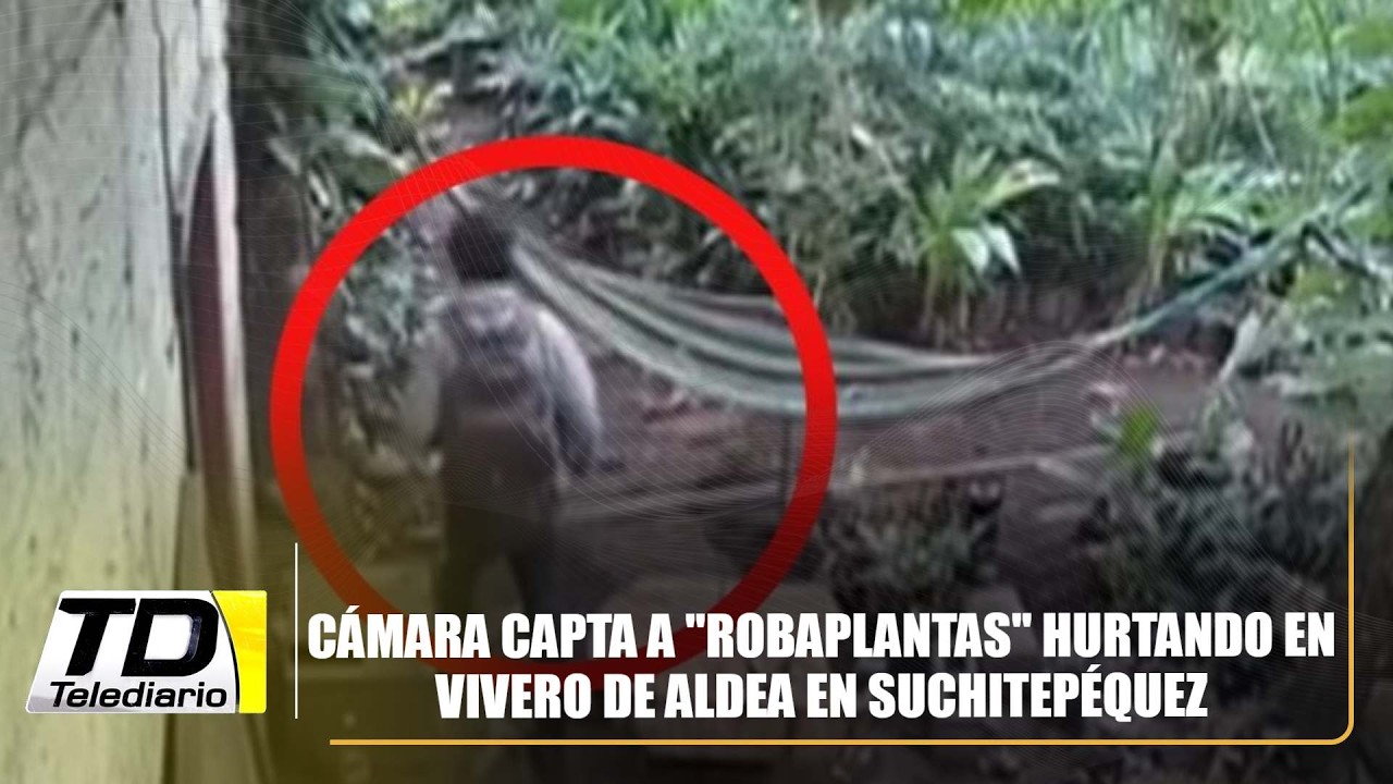 Cámara capta a 