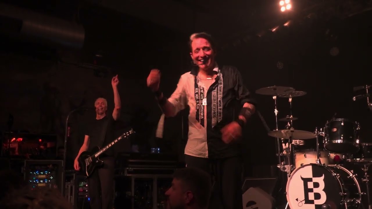 Die Ärzte 