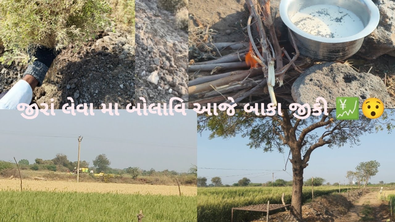 જીરા લેવાં માં આજૅ બોલાવી બાકા જિકી 😯🤣😆 //GUJRATI VLOG//