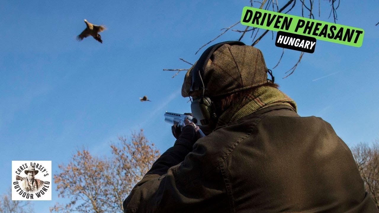 Driven Pheasant Shoot in Hungary