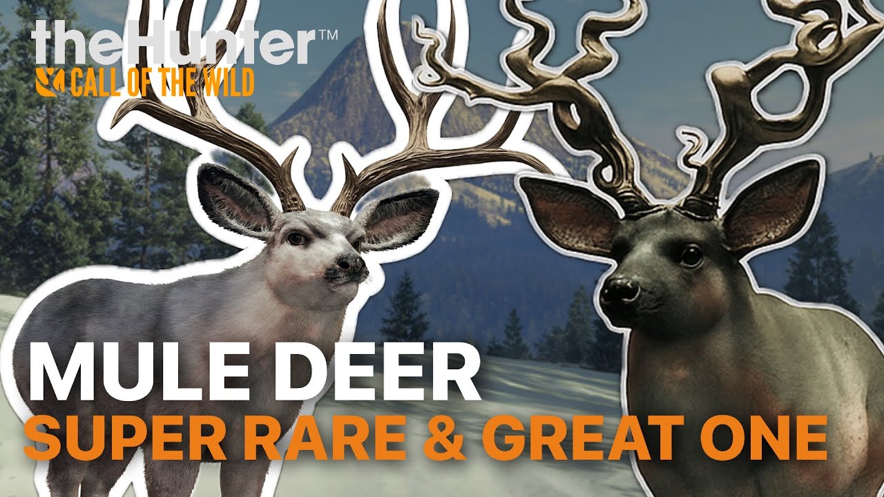 Dream DILUTE SUPER RARE & GREAT ONE Mule Deer | Askiy Ridge Grind | the Hunter Call of the Wild