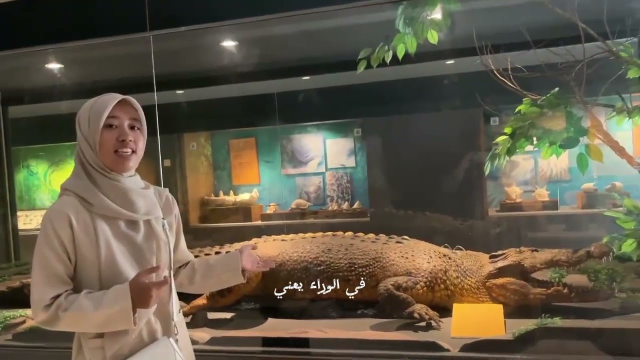 متحف نوسا تنجارى الغربية 