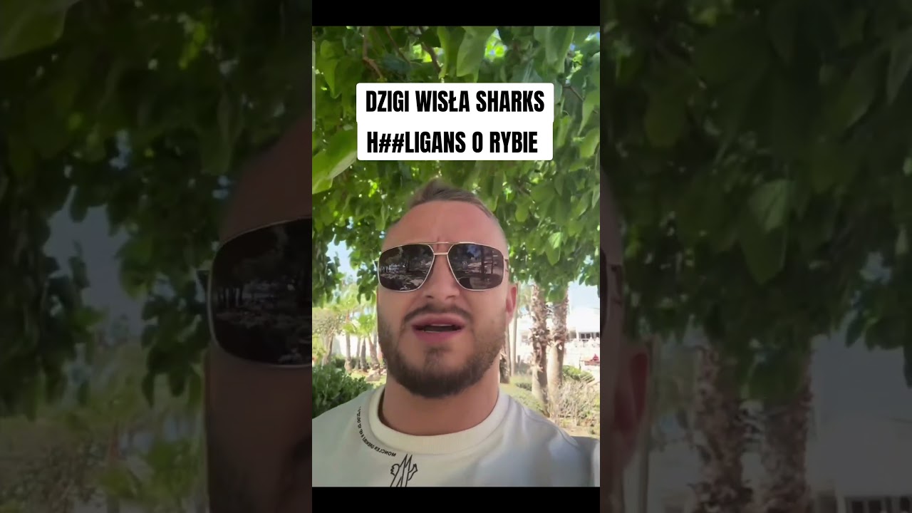 Dzigi Wisła Sharks o Rybie