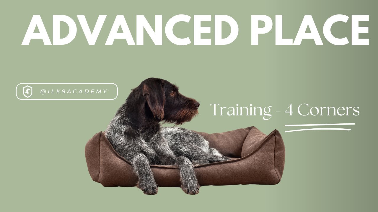 Advancing Place Training - 4 Corners