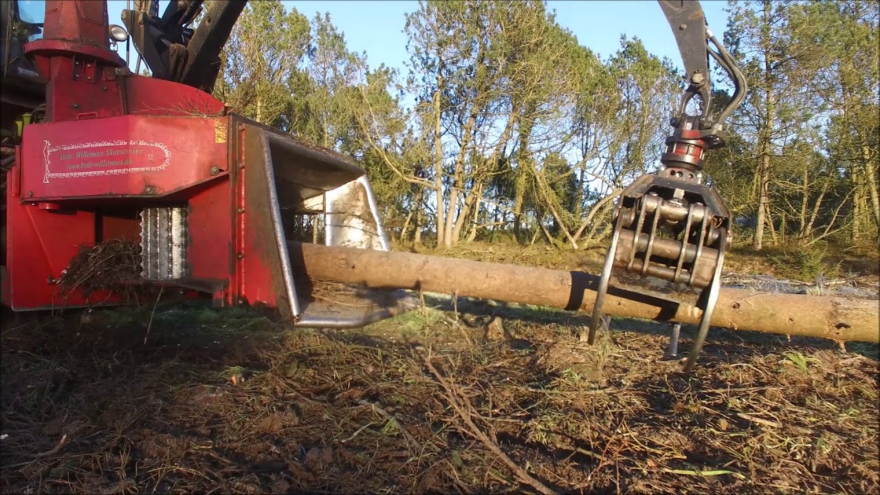 Flishugning med Claas Xerion 5000 i dronevideo på en skøn vinterdag i skoven