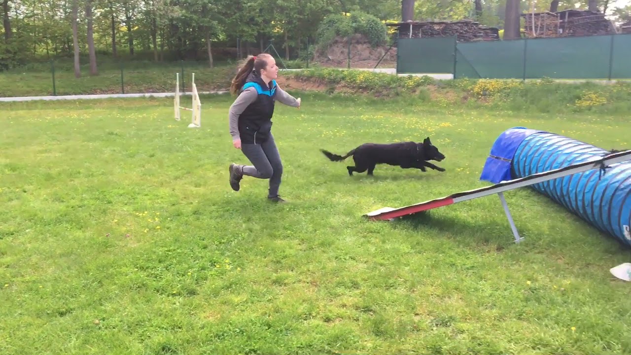 .:Agility trénink - 29.5.2021:. Viktorka❤️