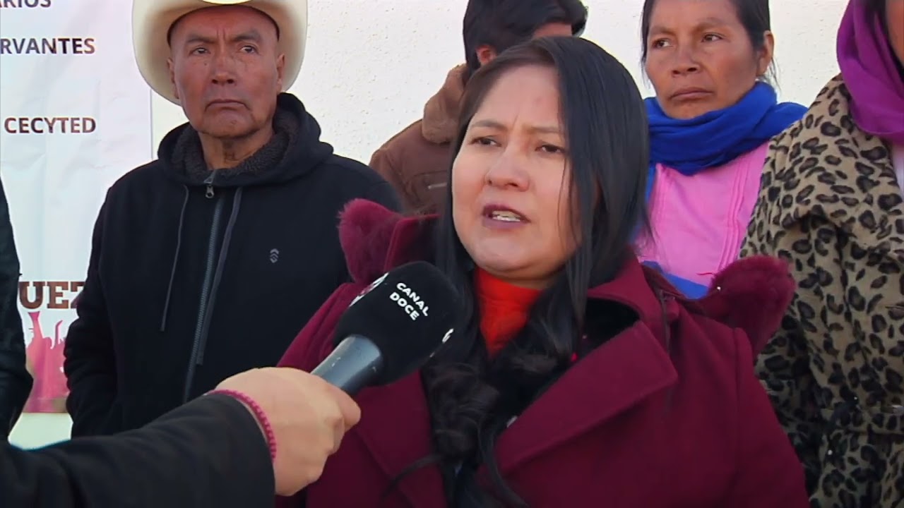 Docentes del CECyTED Canoas denuncian acoso y agresiones