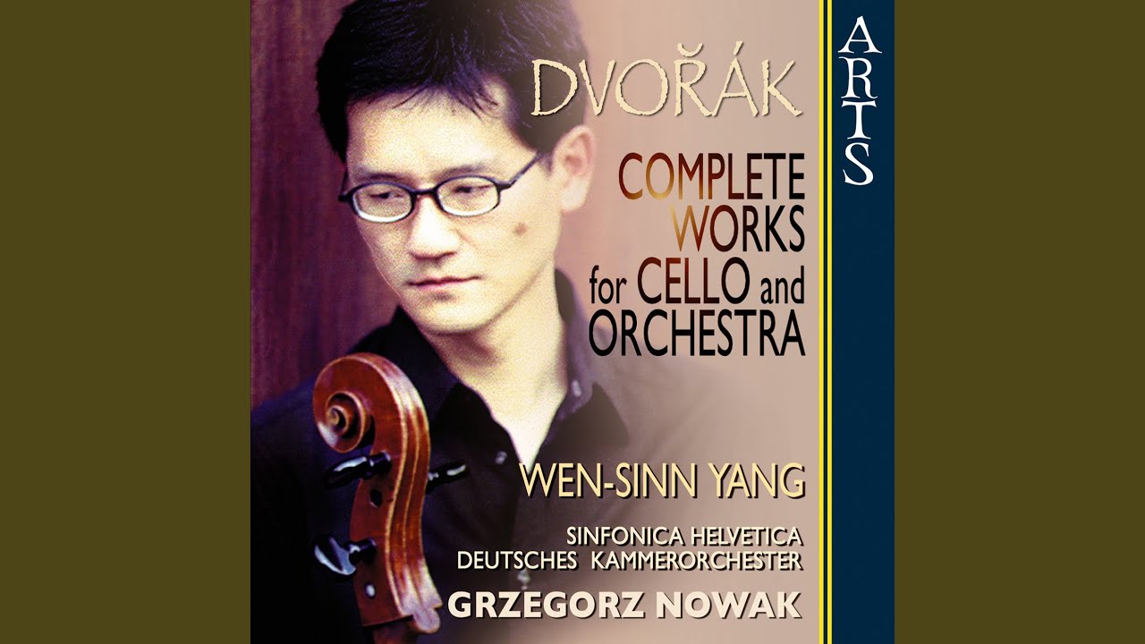 Concerto For Cello And Orchestra In B Minor B 191 Op. 104: I. Allegro