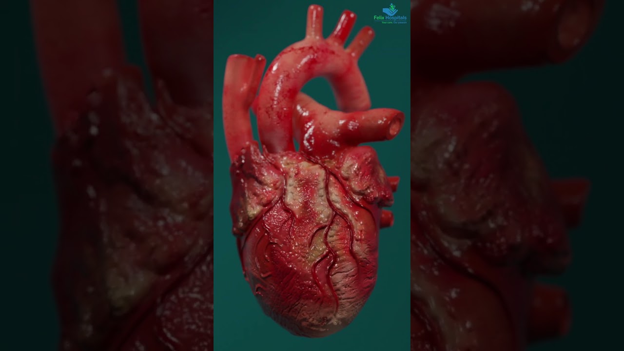 What Is an ECHO Test? | Dr. D.K. Gupta Explains Echocardiogram in Simple Terms