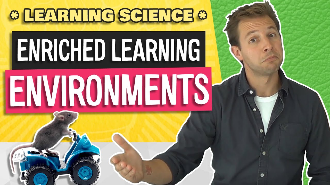 Learning Environments in the Classroom | New Research
