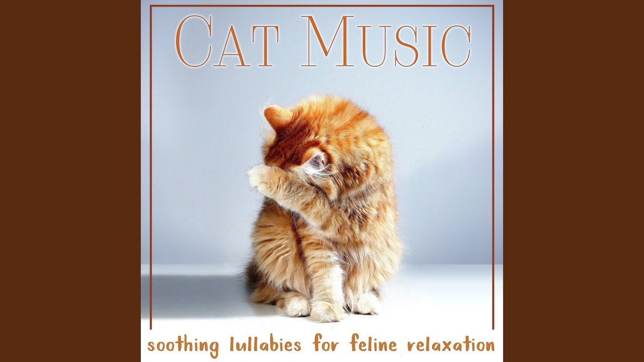 Feline Love